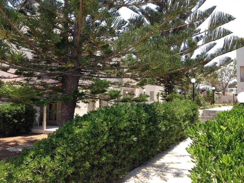 Panorama-Seaview Studios & Apartments Hersonissos  Dış mekan fotoğraf